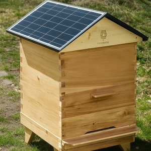 BeeSync smart beehive equipped with solar panel for real-time monitoring and sustainable beekeeping.